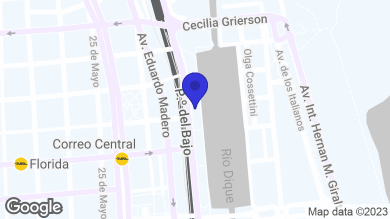 Google map location: Av. Alicia Moreau de Justo 246, Buenos Aires 